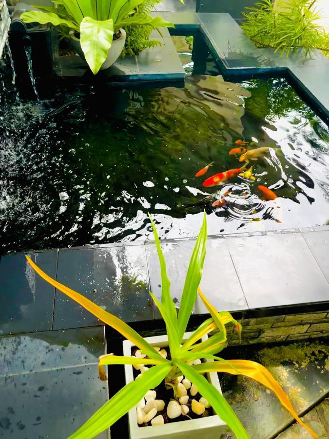Travellers Halt Hotell Ratnapura Exteriör bild